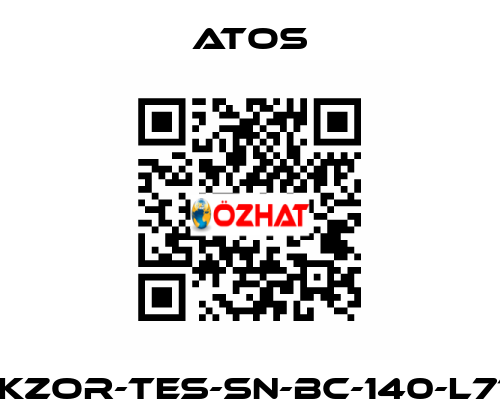 DLKZOR-TES-SN-BC-140-L71/Y Atos