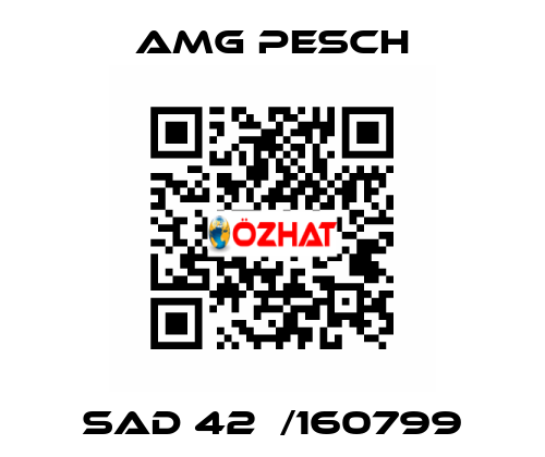 SAD 42  /160799 AMG Pesch