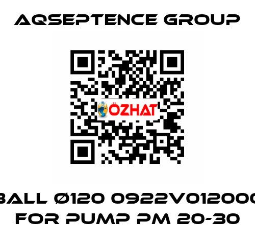 BALL ø120 0922V012000 FOR PUMP PM 20-30 AQSEPTENCE GROUP