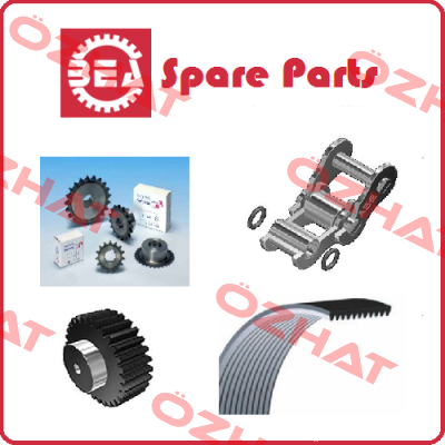 3/8 COR. SEMPL. Z80 BEA Ingranaggi