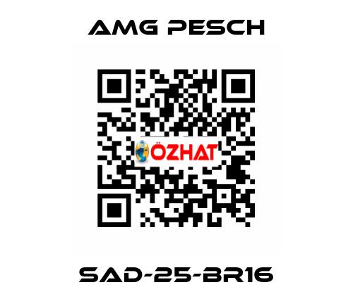 SAD-25-BR16 AMG Pesch