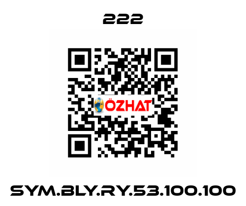 SYM.BLY.RY.53.100.100 222