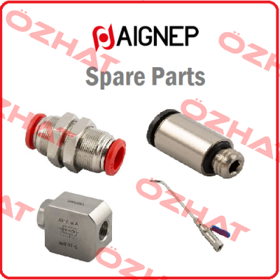 MH0250025 Aignep