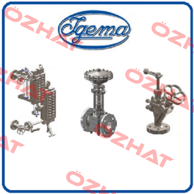 Drain Valve Page 9/4 for  LG40 Igema