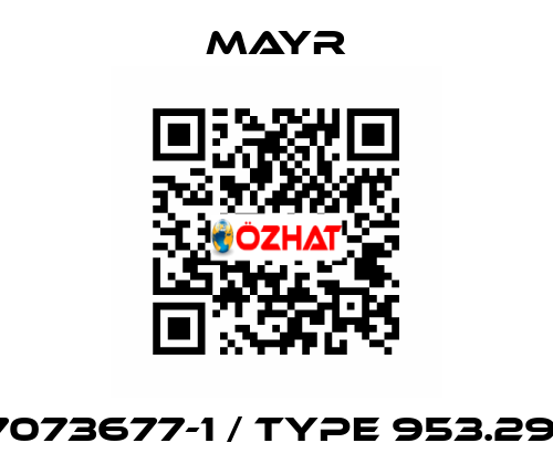 7073677-1 / Type 953.291 Mayr