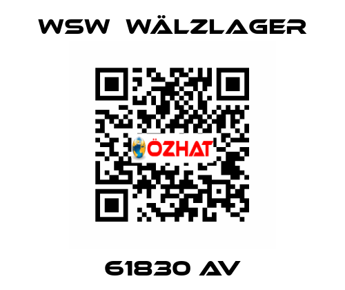 61830 AV WSW  Wälzlager