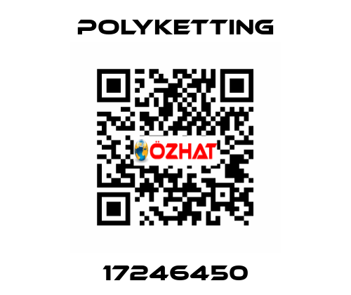 17246450 polyketting