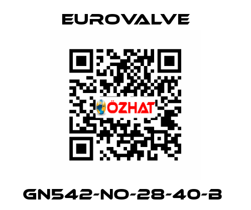 GN542-NO-28-40-B  Eurovalve