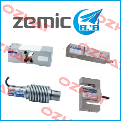 1081114 ZEMIC