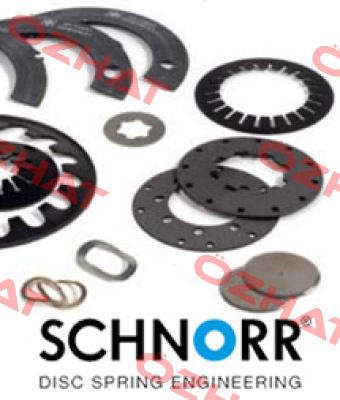 022 500 Schnorr