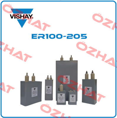 ER100-205 Vishay