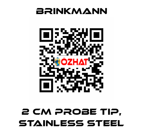 2 CM PROBE TIP, STAINLESS STEEL Brinkmann
