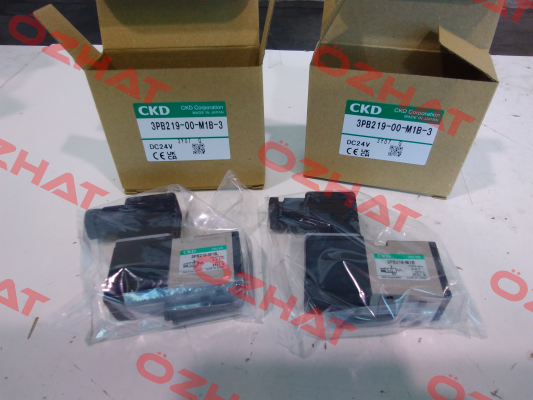 3PB219-00-M1B-3 Ckd