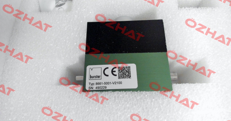 8661-5001-V2100 Burster