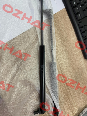 5031DG Stabilus