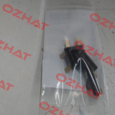 G4AP0200110C Microtemp