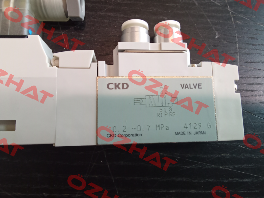 4GA219R-C6-BH-1 Ckd