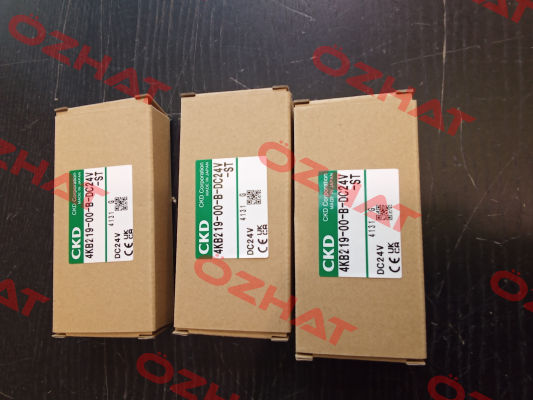 4KB219-00-B-DC24V-ST Ckd
