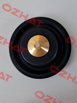 R450431/E Ode
