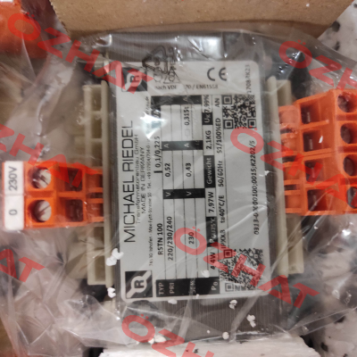 PN: 0313-00000100 / RSTN100 1N-230-230-03 Michael Riedel Transformatorenbau