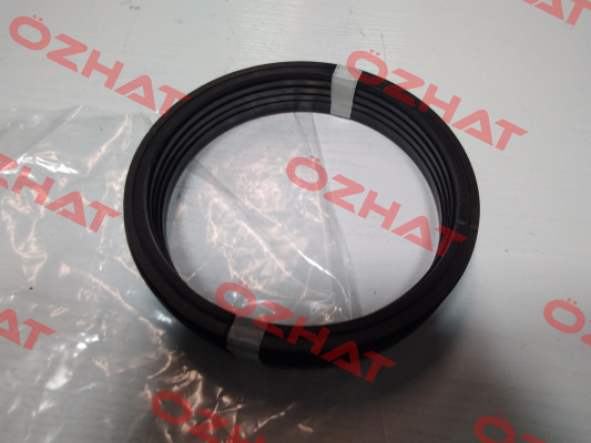 CH 767669 Polypac