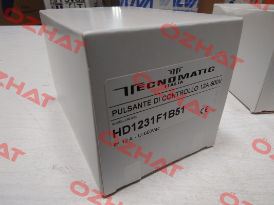 control button for HD1231F1B51 Tecnomatic Italia