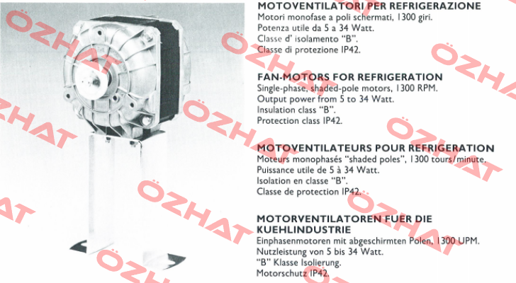 82-4020 Euro Motors Italia