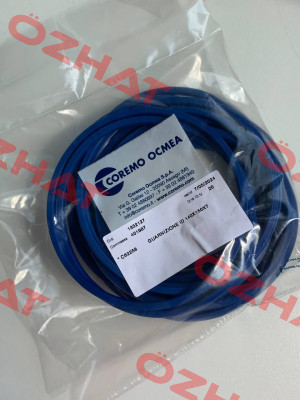 C62258 Coremo Ocmea S.p.A.