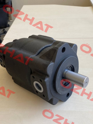 SVQ315-125-23-F-RLRL-?? KCL HYDRAULIC PUMPS