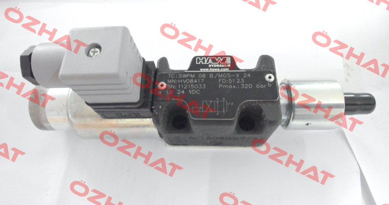 SBM220PC06PGSO973B2 (HV08417) Hoerbiger