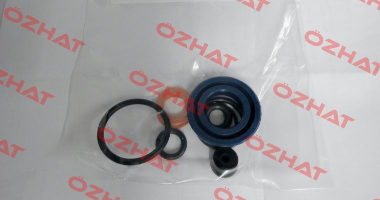 P/N: 10104, Type: Seal kit for V5 GKS-Perfekt
