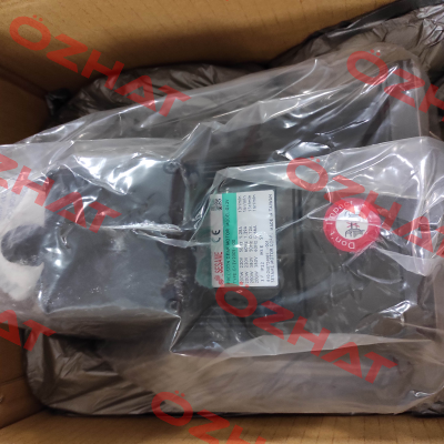 G12V200S-100 Sesame Motor
