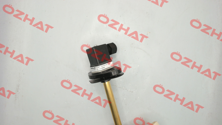 SSM.1.B4.330.5.S1.T70O Engler
