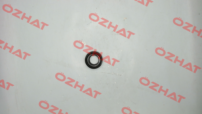 160 4016B DP-25 Valve Ball Seat, Buna-N / 3008569 TERYAIR