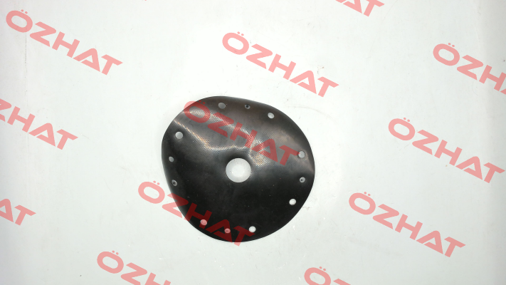 MED1225.01.0044/PTFE / diaphragm for DM3903041-03/12 End Armaturen