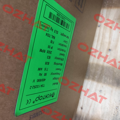 3TT13S4100008 / T3A 132S2-2 Electro Adda