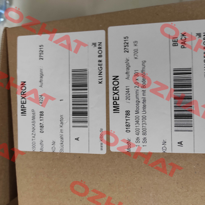01871788 / K900/TAZ/NKA9/Mot/P Klinger Born