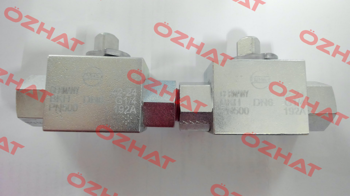 BKH-DN6-G1/4-PN500-192A Mha Zentgraf