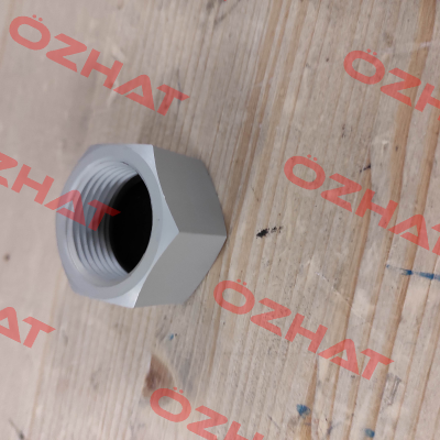 ZB-TL2P0-002 Mecon