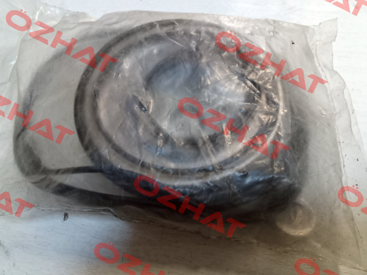 ARS/ARSW Seal Kit Brevini