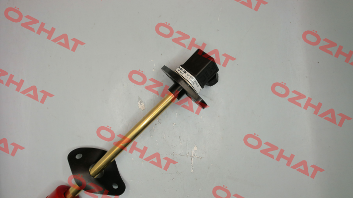 SSM.1.B5.180.5.S1 Engler