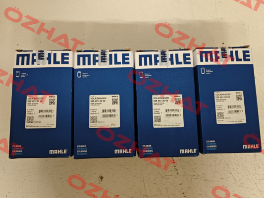 029 WV 20 00 MAHLE