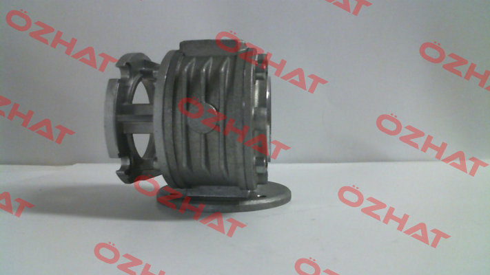 200350159 (VF 30 F1-30 P63 B14 B3) Bonfiglioli