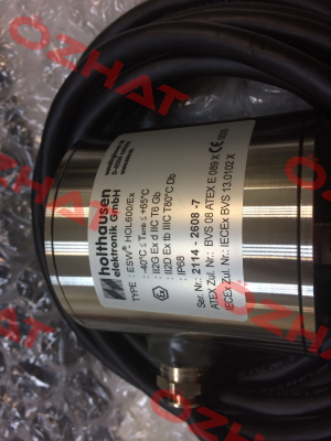 ESW®-Compact-EX-001 (hol600/EX) HOLTHAUSEN ELEKTRONIK