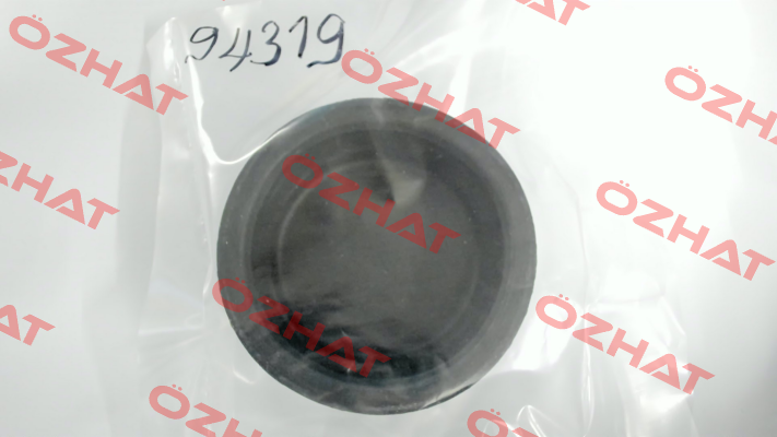 CSK 5 / 94319 Motan Colortronic