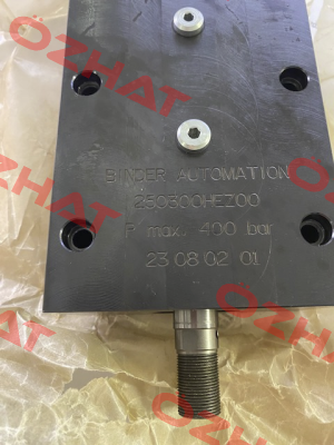 250300-BAZ00 Binder