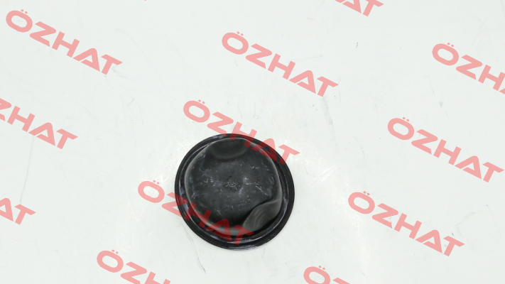 A04246874 MAHLE