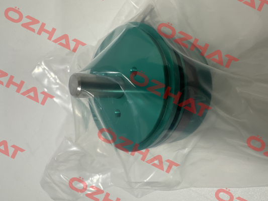 CPP-35B 1K Midori