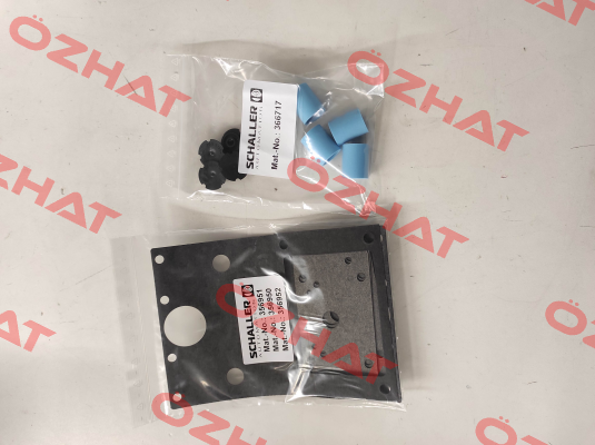 155006 Schaller Automation