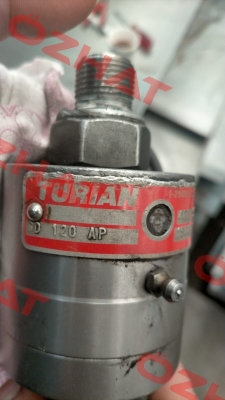 GD-120-AP-C019 Turian